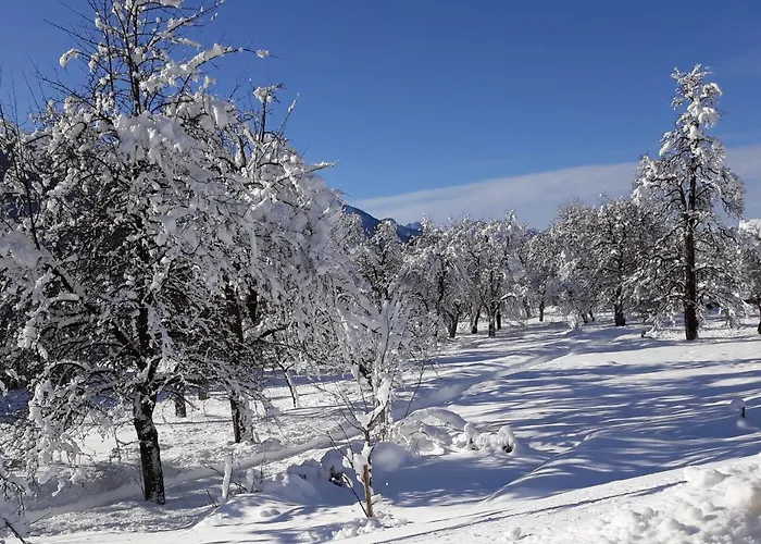 Jakelj * Kranjska Gora